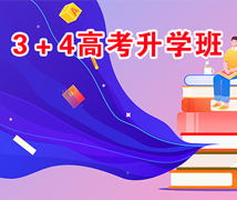 3+4高考升学班